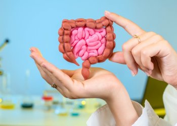 Gut Health