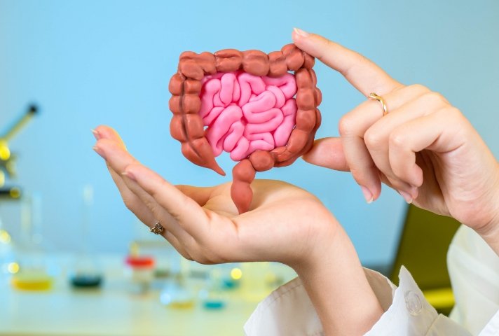 Gut Health