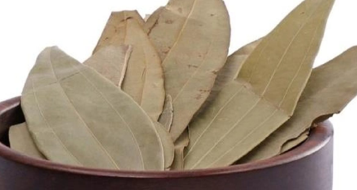 Bay leaf