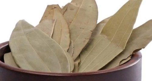 Bay leaf