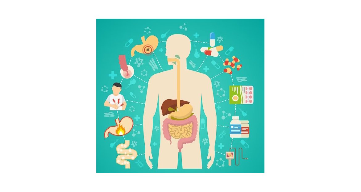 Steps to Repair your Leaky Gut