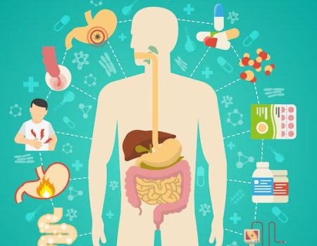 Steps to Repair your Leaky Gut