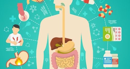 Steps to Repair your Leaky Gut